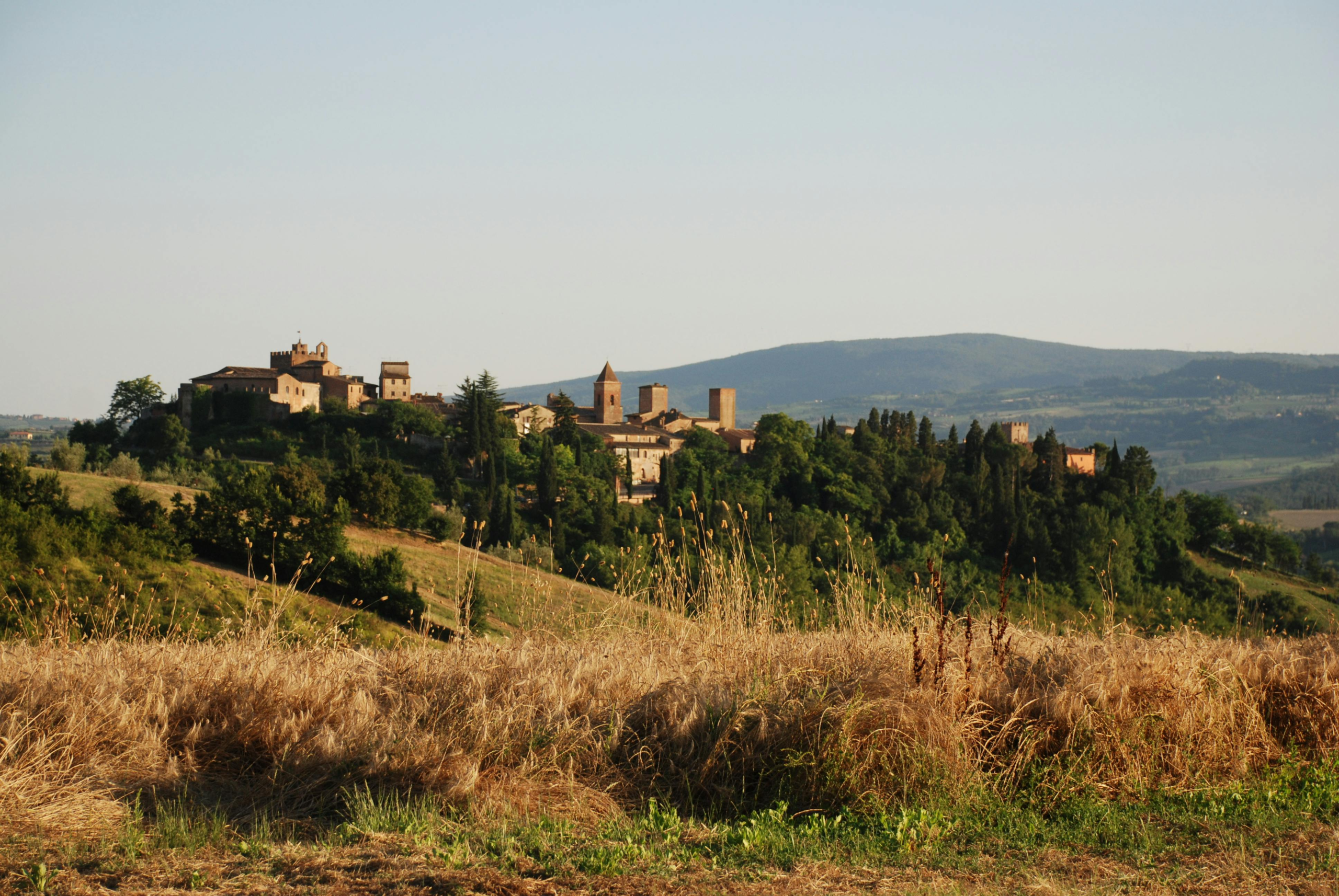 Captivating view of a medieval village on a hill in Tuscany, Italy, during summer.