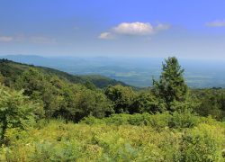 shenandoah valley, nature, skyline drive, virginia, mountaintop, sky