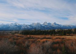 Experience the majestic Grand Teton Mountains and vast wilderness under a clear sky. Perfect for nature lovers and adventurers.