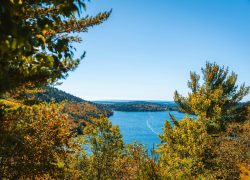 Breathtaking autumn view of Mount Desert's foliage and coastline, capturing the essence of nature's beauty.